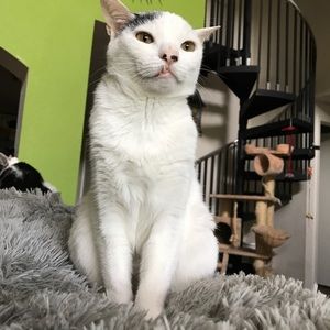 Meet your Posher, Samantha